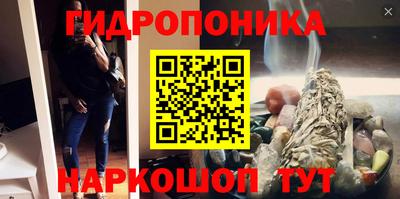 mdpv Новодвинск