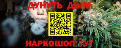 mdpv Новодвинск