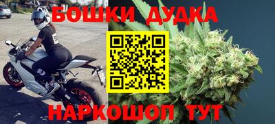 mdpv Новодвинск