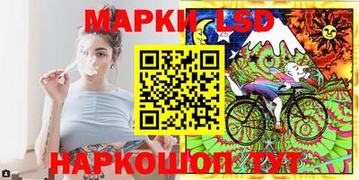 mdpv Новодвинск