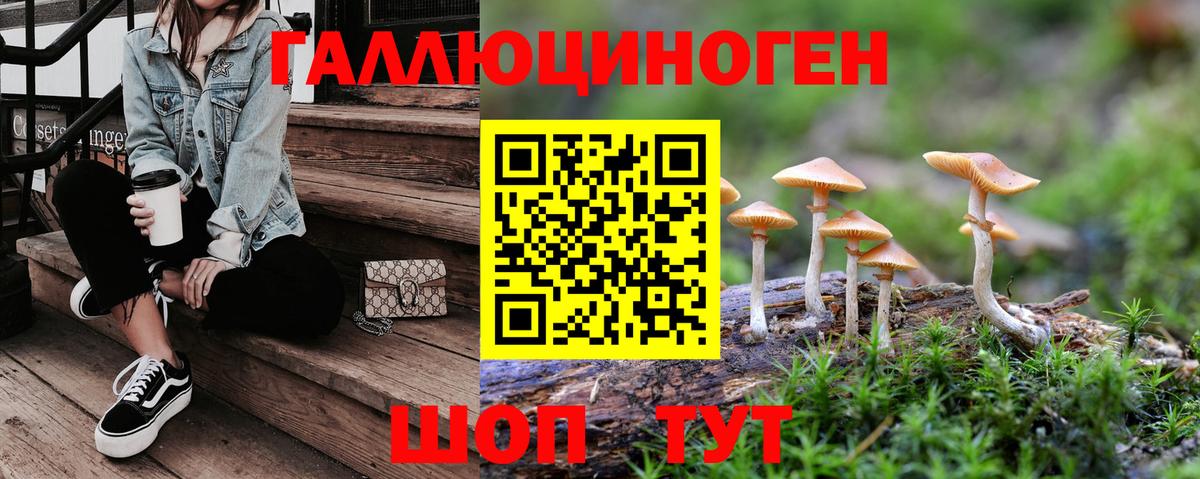 Галлюциногенные грибы Cubensis Ступино